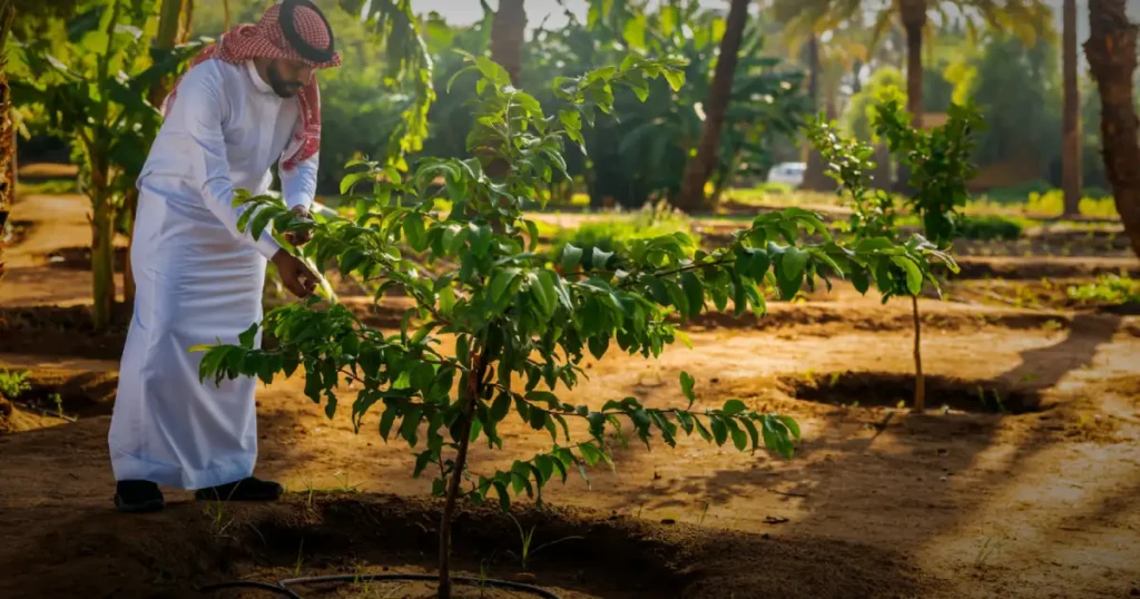 Saudi Arabia Reaches Major Environmental Milestone with Large-Scale Land Restoration